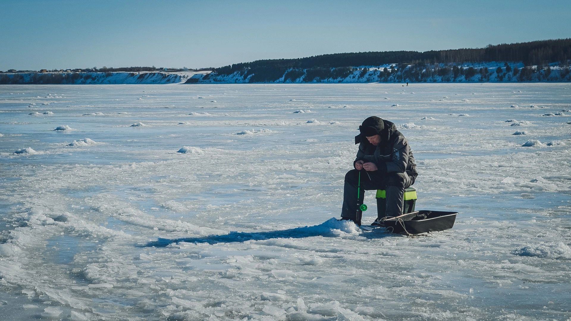 ¿Dónde reaccionan los peces más activamente al cebo en invierno?